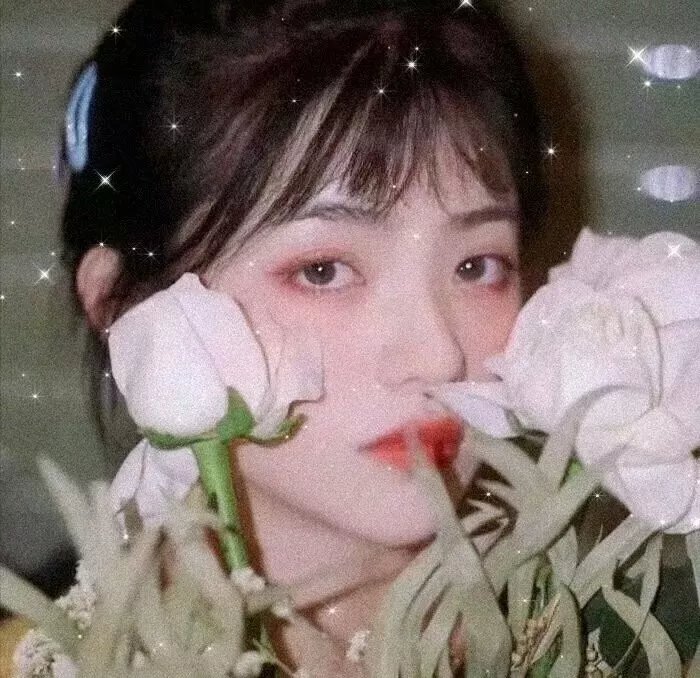 春归