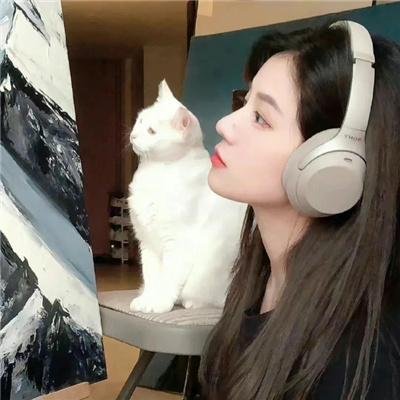 完美搭配